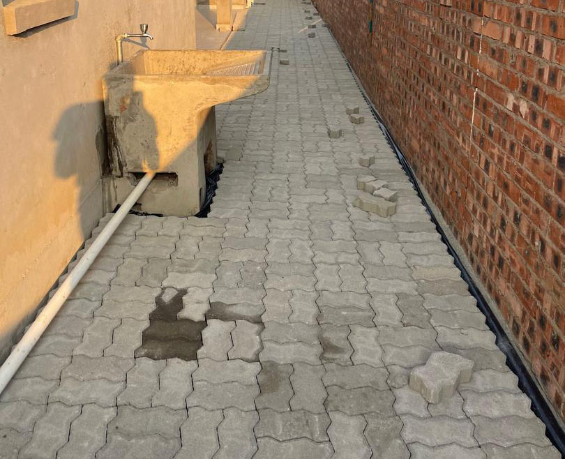 WhatsApp Image 2024-11-04 at 17.37.27